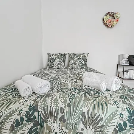 Appartement Lumineux Avec Jardin Commun A